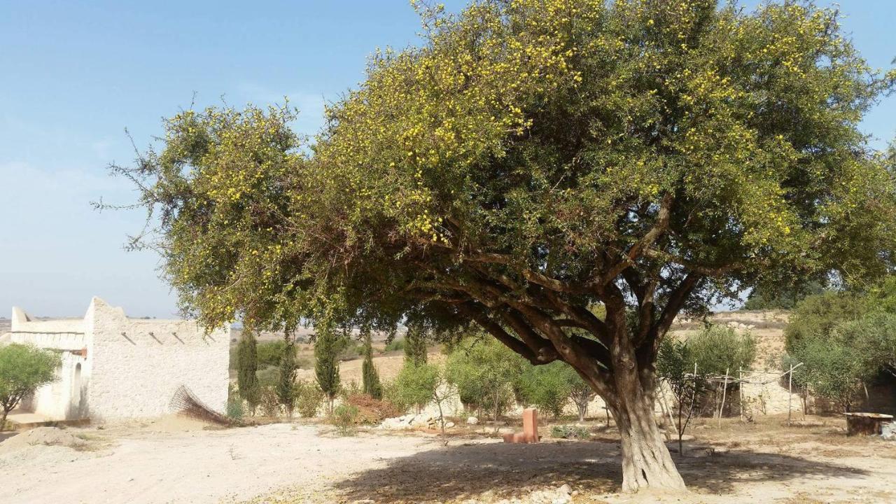Domaine Argania Essaouira Exterior foto